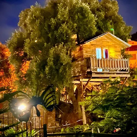El Magico Refugio De Vegas Valsequillo de Gran Canaria